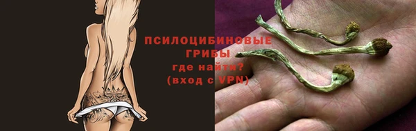 тгк Белокуриха